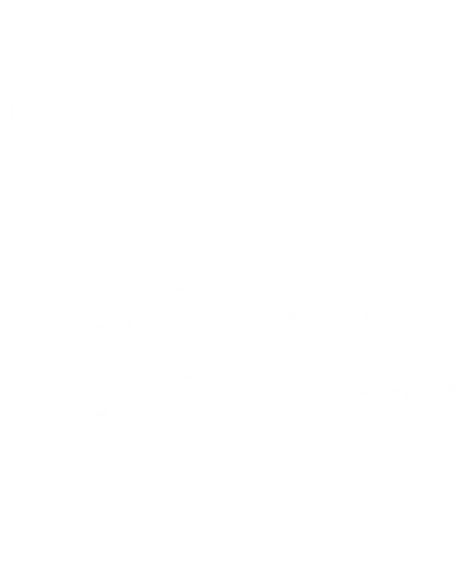 Logo oficial de Enjoy Ibiza Charter servicio de charter náutico en Ibiza